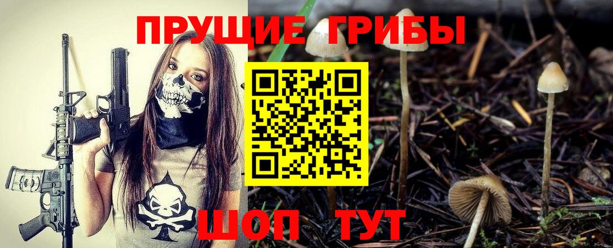 Псилоцибиновые грибы MAGIC MUSHROOMS  Вход с VPN  Кемерово 