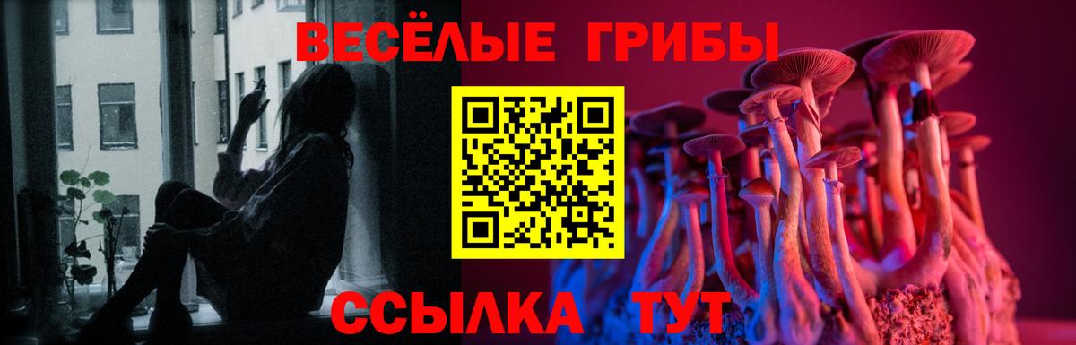 Галлюциногенные грибы GOLDEN TEACHER Кемерово